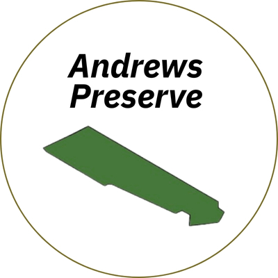 andrew