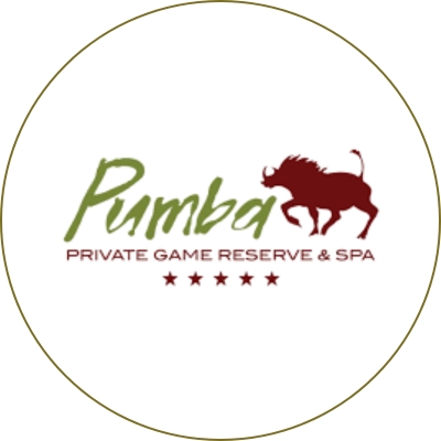 pumba